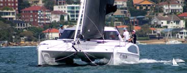 The Multihull Regatta