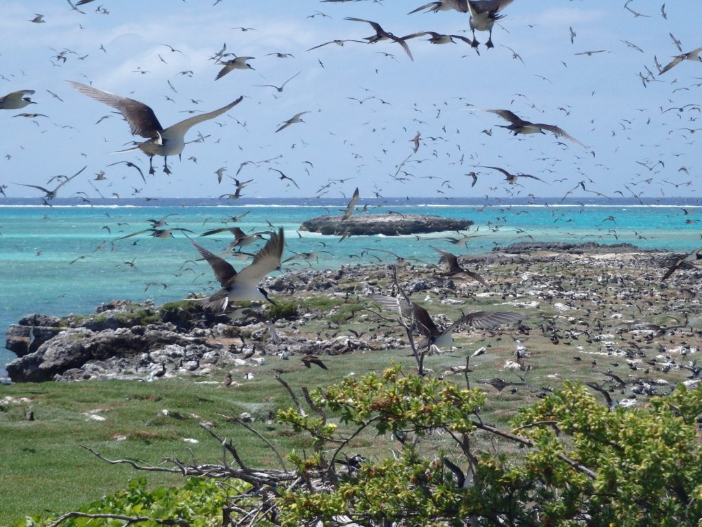 Beautemps-Beaupre-New-Caledonia