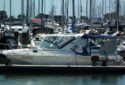 gallery_thumb