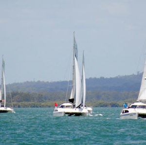 Moreton Bay Regatta Photo