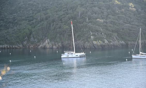 DSC 1570