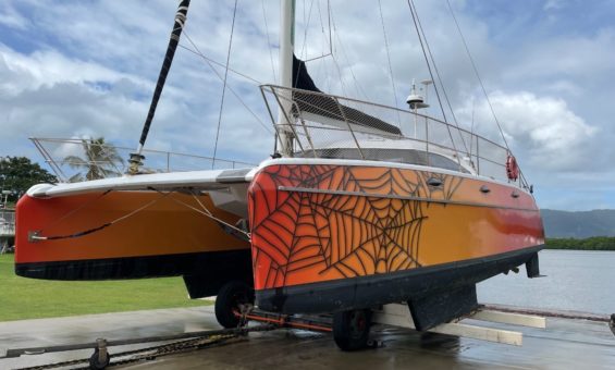 Cobweb 10