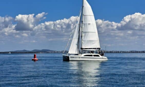 Summer-Wind-at-St-Helena-red